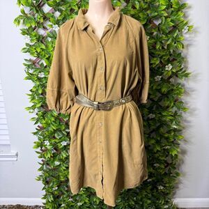 Women's Tan Dress - Velvet by Graham and Spencer